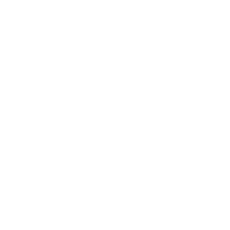 PROJECT EXPO emblem